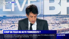 Coup de folie ou acte terroriste ? (3) - 04/10