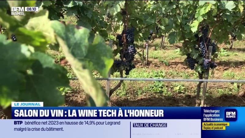 Salon du vin : la Wine Tech