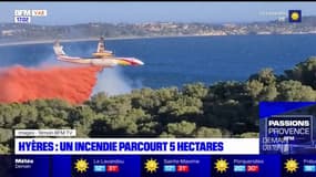 Hyères: un incendie a parcouru cinq hectares jeudi soir