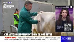 Bien-être animal au salon de l'agriculture: les vétérinaires en première ligne