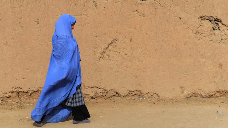 Une Afghane dans la ville d'Herat, dans l'ouest du pays, début novembre 2013.