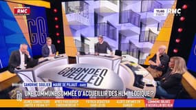 "Ils vont construire pour densifier la zone", dit Sandrine Soulier, maire de Pujaut (Gard), obligée d'accueillir des logements sociaux