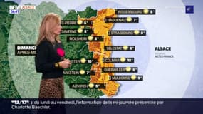 Météo Alsace: quelques éclaircies malgré un ciel très chargé ce dimanche, jusqu'à 9°C à Mulhouse 