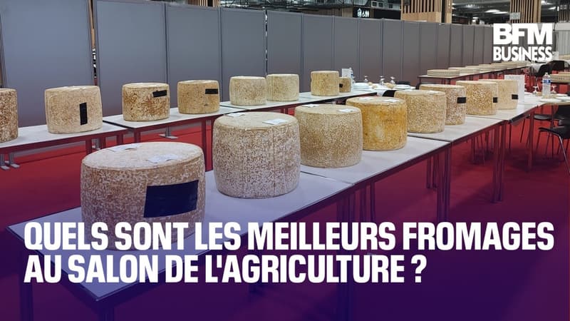 Quels sont les meilleurs fromages au Salon de l'Agriculture ?