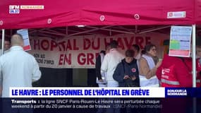 Le Havre: le personnel de l'hôpital en grève