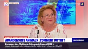 "Près de 7.000 animaux attendent de bons adoptants" : les refuges de la SPA remplis avant l'été