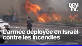De violents incendies touchent la région de Jérusalem