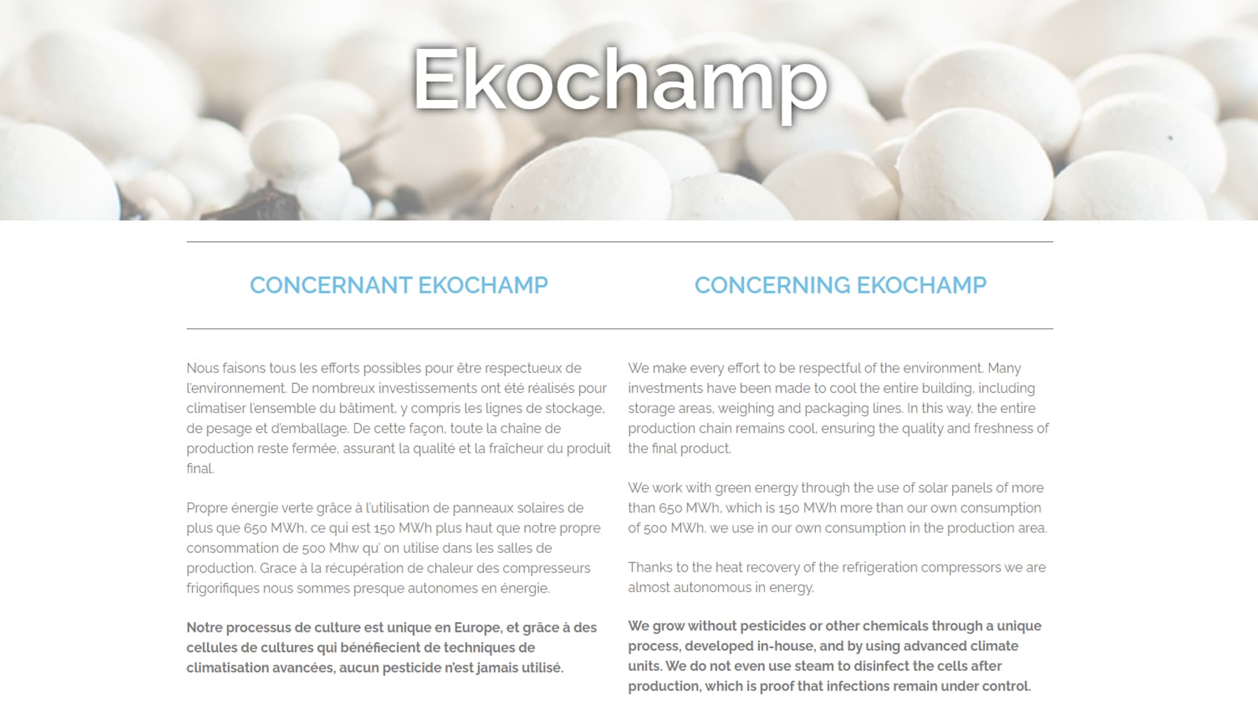 Le site de la marque Ekochamp, qui fait des champignons de Paris, donne un paragraphe d'informations sur son respect de l'environnement.