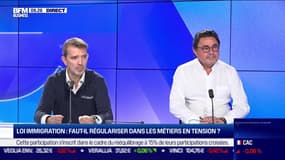 Les Experts : Loi "immigration", faut-il régulariser dans les métiers en tension ? - 08/11