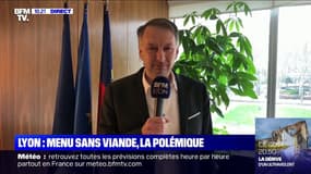 Menu sans viande: le président EELV de la Métropole de Lyon dénonce "des polémiques vaines"