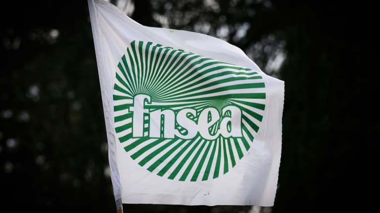 La première alliance syndicale agricole FNSEA-Jeunes Agriculteurs appelle à la mobilisation jeudi et vendredi, contre les importations "aberrantes" qui minent selon elle l'agriculture française. (ILLUSTRATION)
