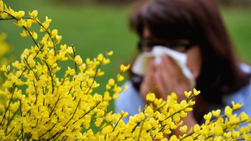 Pollens (Photo d'illustration). 