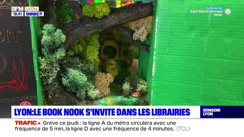 Lyon : les book nook s'invitent des les librairies
