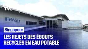  À Singapour, une partie des rejets des égouts est recyclée, traitée et transformée en eau potable