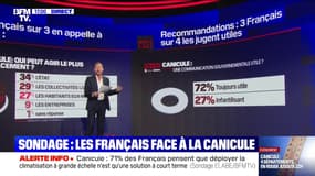 LES ÉCLAIREURS - Sondage: les Français face à la canicule