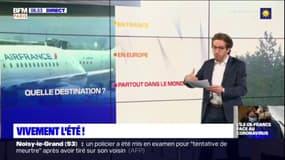 Vivement l'été ! - Pourra-t-on prendre l'avion cet été ?