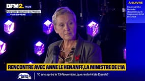 Produits illégaux sur les sites Wish, Shein: "L'impunité c'est terminé", réagit Anne Le Hénanff, ministre de l'IA