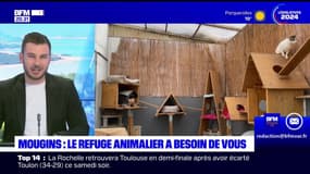 JT du Sud du dimanche 16 juin