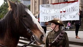 Un cheval est photographié lors d'une manifestation contre l'abattage dans les parcs nationaux de l'emblématique cheval brumby australien, à Melbourne, le 8 juin 2022. Le 27 octobre 2023, l'Australie a approuvé l'abattage aérien de chevaux sauvages dans l'un des plus grands parcs nationaux du pays, reprenant ainsi une pratique controversée que les autorités qualifiaient d'"essentielle" pour protéger la faune indigène.