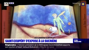Lyon: interrompue en raison du confinement, l'exposition sur Antoine de Saint-Exupéry rouvre ses portes à La Sucrière