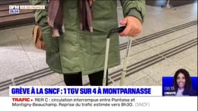 Grève à la SNCF: un train sur quatre au départ de la gare Montparnasse