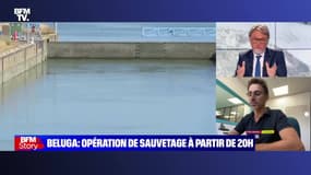 Story 1 : Opération de sauvetage du béluga à partir de 20h - 09/08