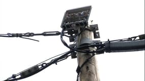 Les opérateurs téléphoniques veulent chasser les zones blanches