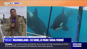 Le parc Marineland ferme ses portes définitivement ce dimanche soir