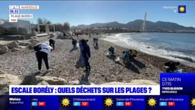 Marseille: journée de collecte de déchets à l'Escale Borély