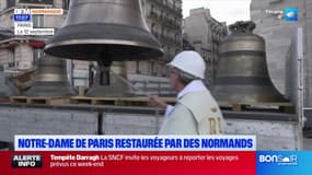 Réouverture de Notre-Dame de Paris: le savoir-faire normand pour la restauration
