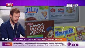 La France et le sucre : Je t'aime, moi non plus 