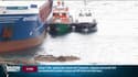 Cargo échoué en Corse: "On a évité le pire, il n’aurait jamais dû prendre cette route"