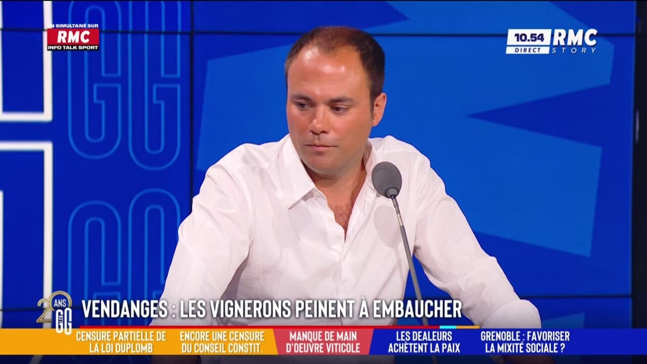 Les vignerons ont du mal à recruter : "C'est la société que la gauche nous a créée" pour Charles Consigny