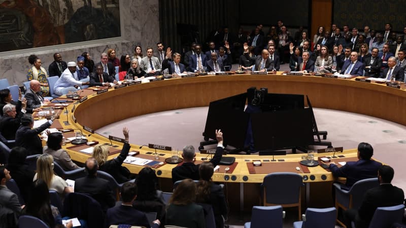 Gaza: le Conseil de sécurité de l'ONU adopte le projet de résolution...