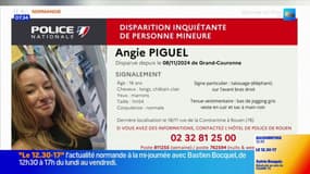 Normandie: des appels à témoins après la disparition inquiétante de deux adolescentes