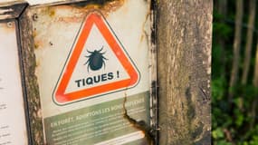 Panneau "attention tiques!" à l'entrée d'une forêt française. Juin 2021. (Photo d'illustration)