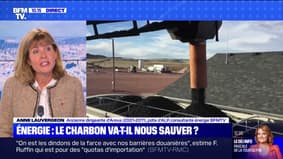 Réouverture de la centrale à charbon de Saint-Avold: l'ancienne dirigeante d’Areva dénonce "une politique énergétique qui bug"