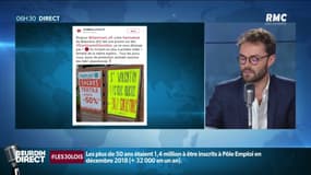 Pas-de-Calais: polémique autour d'une promotion dans une animalerie