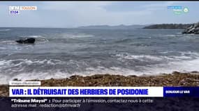 Var: un capitaine de yacht est accusé d'avoir détruit des herbiers de posidonie