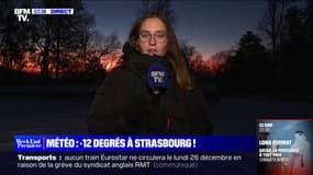 -12°C à Strasbourg: comment s'organise le salage des routes en Alsace?