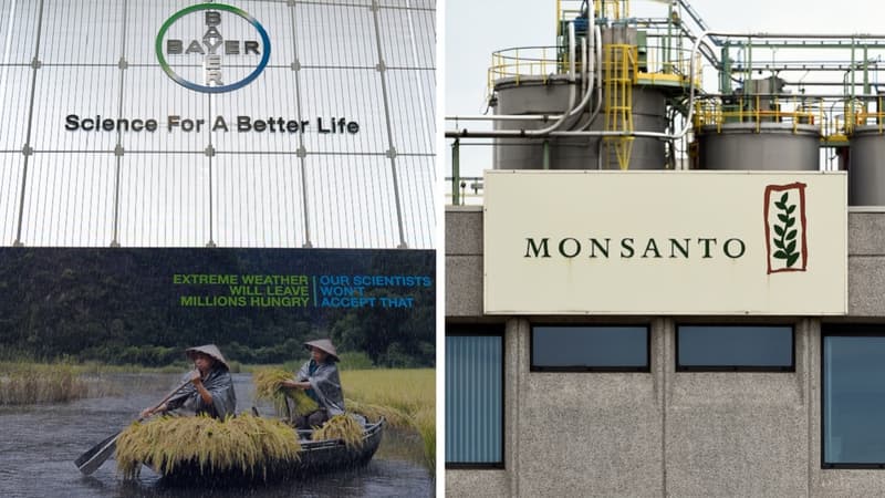 La rachat de Monsanto par Bayer représente pas moins de 66 milliards de dollars