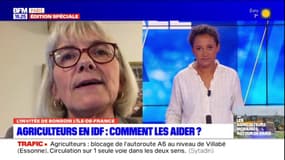 Action des agriculteurs en Île-de-France: "il faut savoir apporter son soutien et notamment à nos agriculteurs",