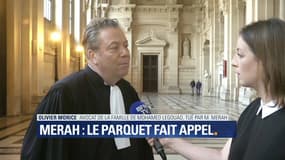 Appel dans le procès Merah: "Il y a des éléments susceptibles d'être discutés" (avocat)