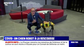 Covid: un chien robot à la rescousse - 23/10