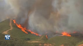 Dans le sud du Portugal, les incendies laissent derrière eux un paysage noirci