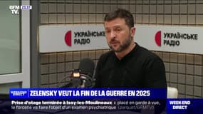 Volodymyr Zelensky veut la fin de la guerre en 2025 - 16/11