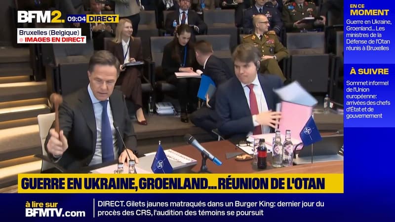 Guerre en Ukraine, défense européenne, Groenland: les ministres de  la Défense de l'Otan réunis à Bruxelles