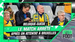 Belgique-Suède : Le match arrêté après un attentat à Bruxelles, "atmosphère angoissante dans le stade"