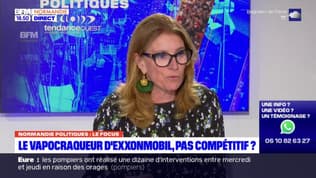 Normandie Politiques: le vapocraqueur d'ExxonMobil a-t-il encore un avenir?