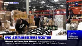 Nord-Pas-de-Calais: certains secteurs recrutent malgré la crise